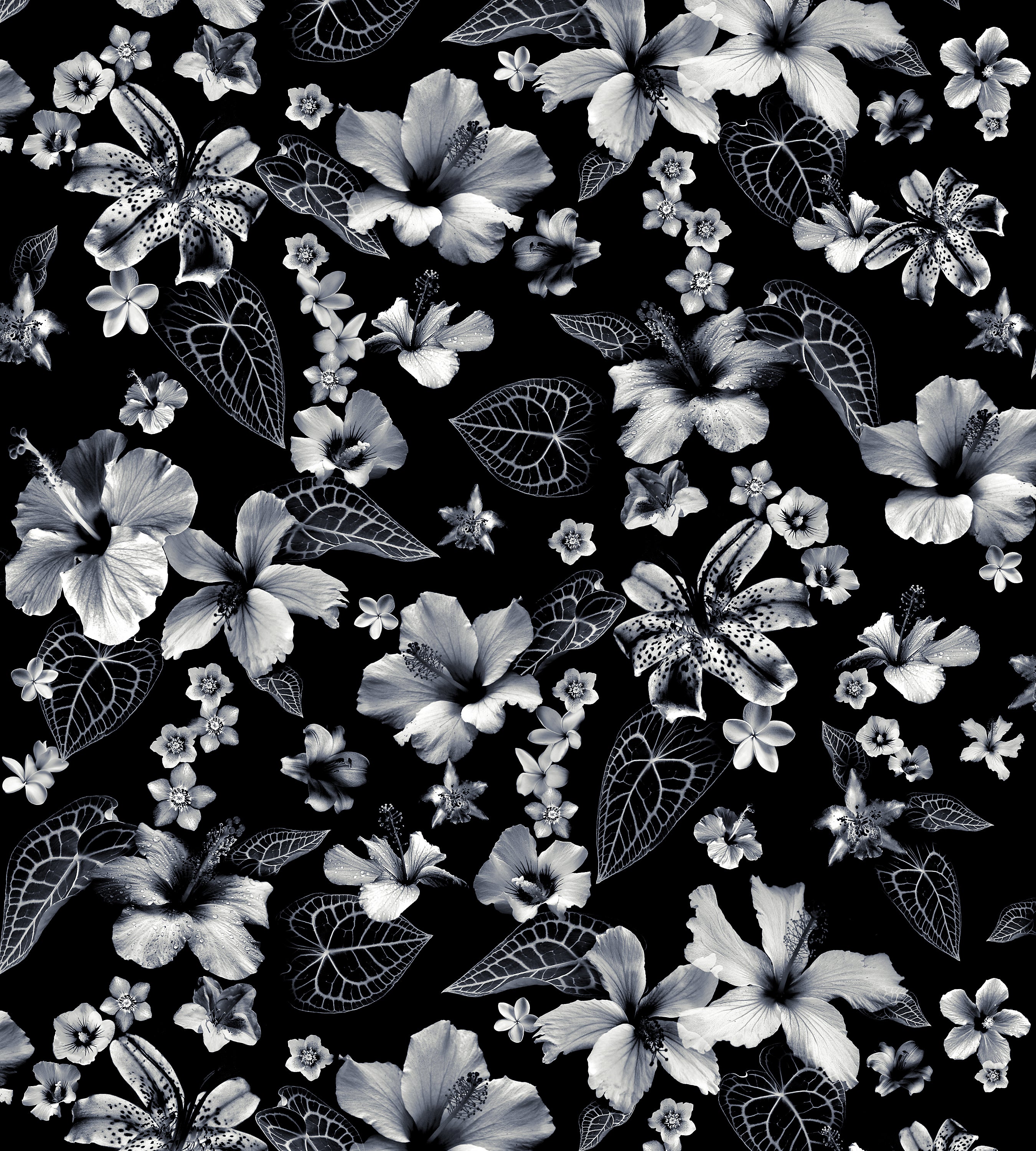 Jean Paul Gaultier Cariacou Noir Wallcovering Sample WH000013340