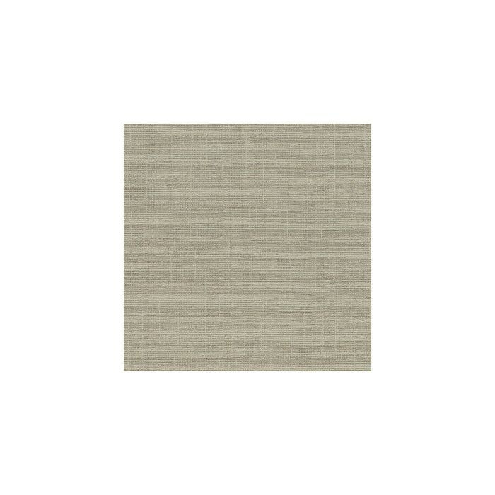 Winfield Thybony Patagonia Straw Wallpaper Sample WHF1619.WT.0