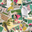 Grey Watkins Cote D'Azur II Lime Green / Rose Wallpaper Sample WHF00020130