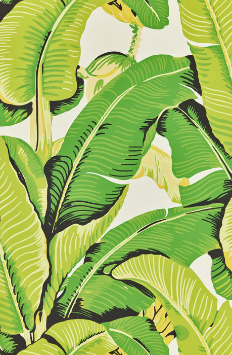 Hinson Hinson Palm Mojito Wallpaper Sample WHN000144000M