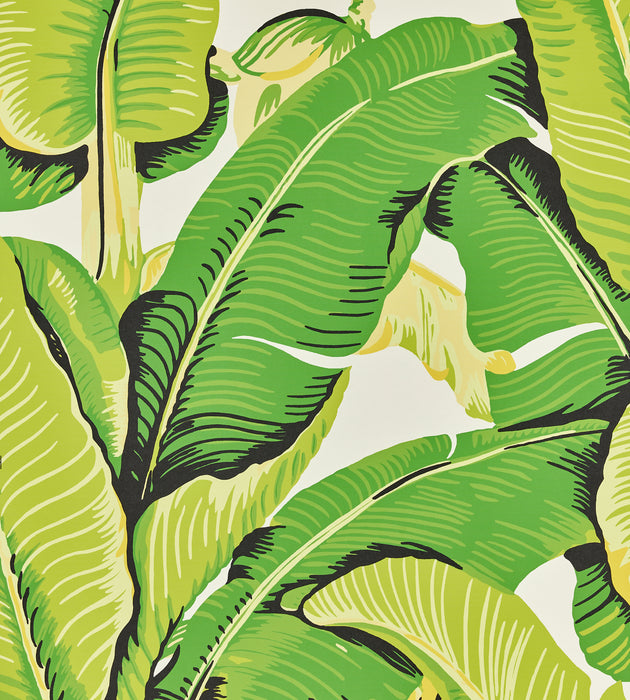 Hinson Hinson Palm Mojito Wallcovering Sample WHN000144000M