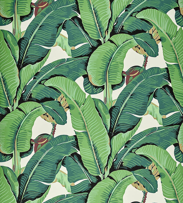 Hinson Hinson Palm - Wide Width Green Wallpaper Sample WHN000144000