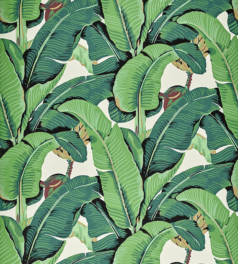 Hinson Hinson Palm - Wide Width Green Wallpaper Sample WHN000144000