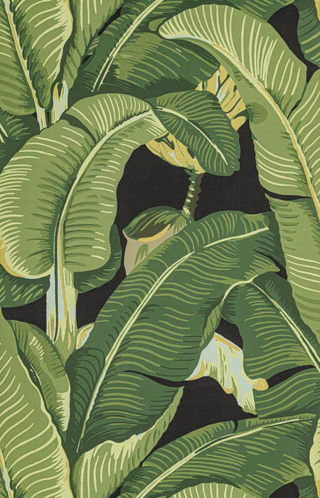 Hinson Hinson Palm Absinthe Wallpaper Sample WHN000444000M