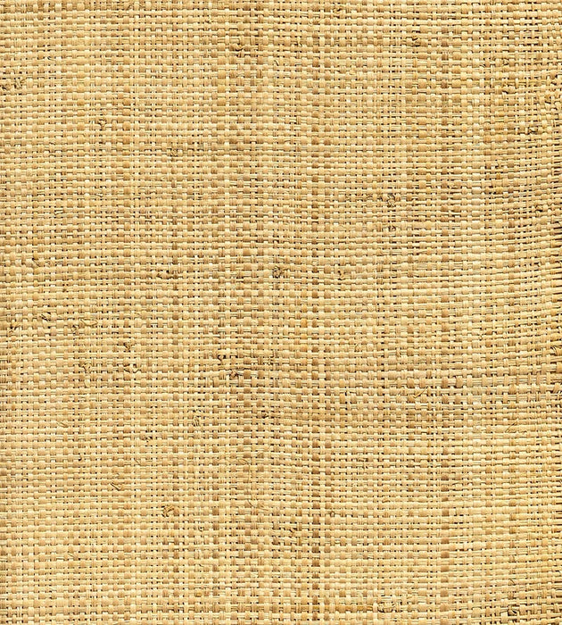 Hinson Hinson Madagascar - Coarse Natural Wallpaper Sample WHN00ABY0390