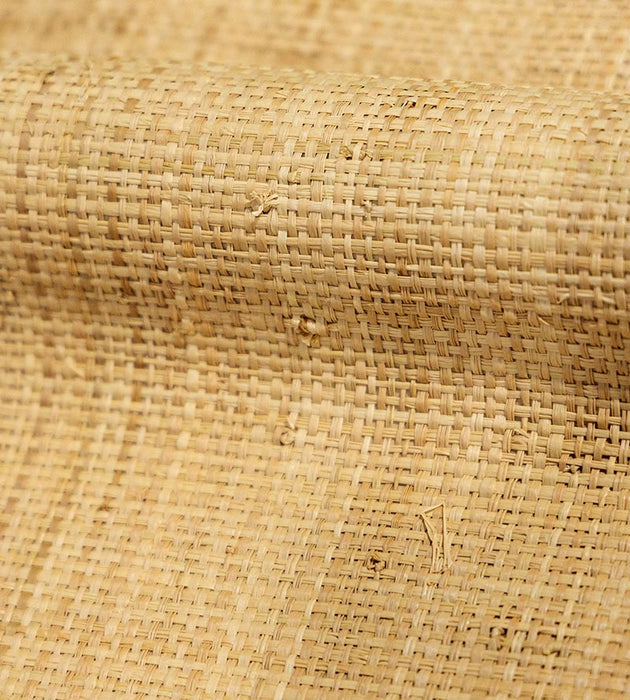 Hinson Hinson Madagascar - Coarse Natural Wallpaper Sample WHN00ABY0390