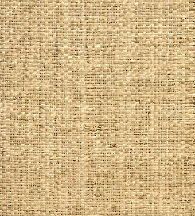 Hinson Hinson Madagascar - Grand Natural Wallpaper Sample WHN00ABY0392