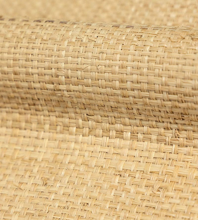 Hinson Hinson Madagascar - Grand Natural Wallpaper Sample WHN00ABY0392