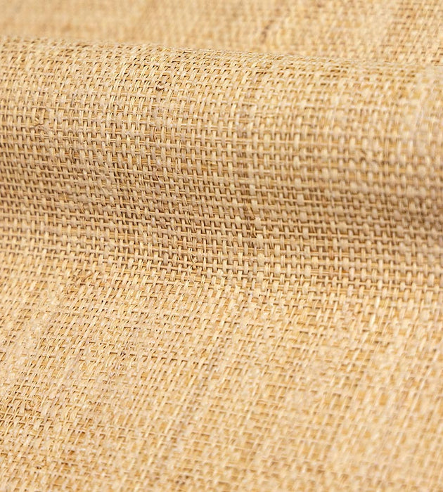 Hinson Hinson Madagascar - Coarse Whitewashed Wallpaper Sample WHN00WBY0390