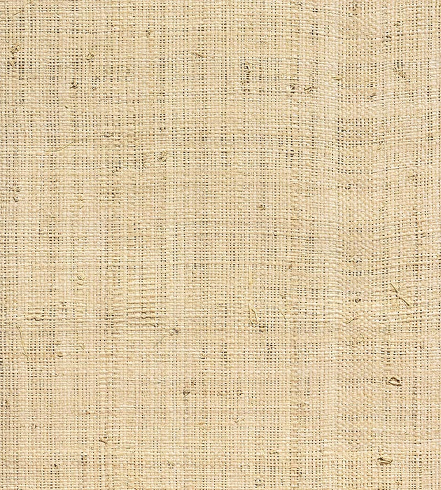 Hinson Hinson Madagascar - Fine Whitewashed Wallpaper Sample WHN00WBY0391