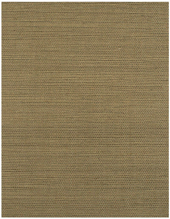 Winfield Thybony Bermuda Moss Wallpaper WIW2524.WT.0