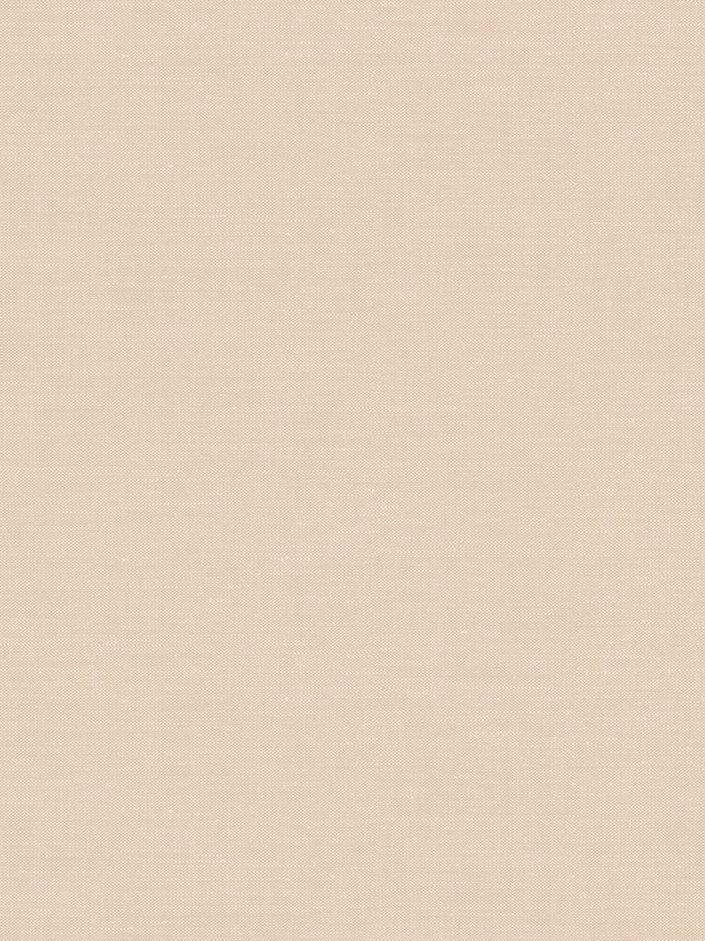 Jannelli & Volpi Unito Sahel Blush Wallpaper WJ200026260