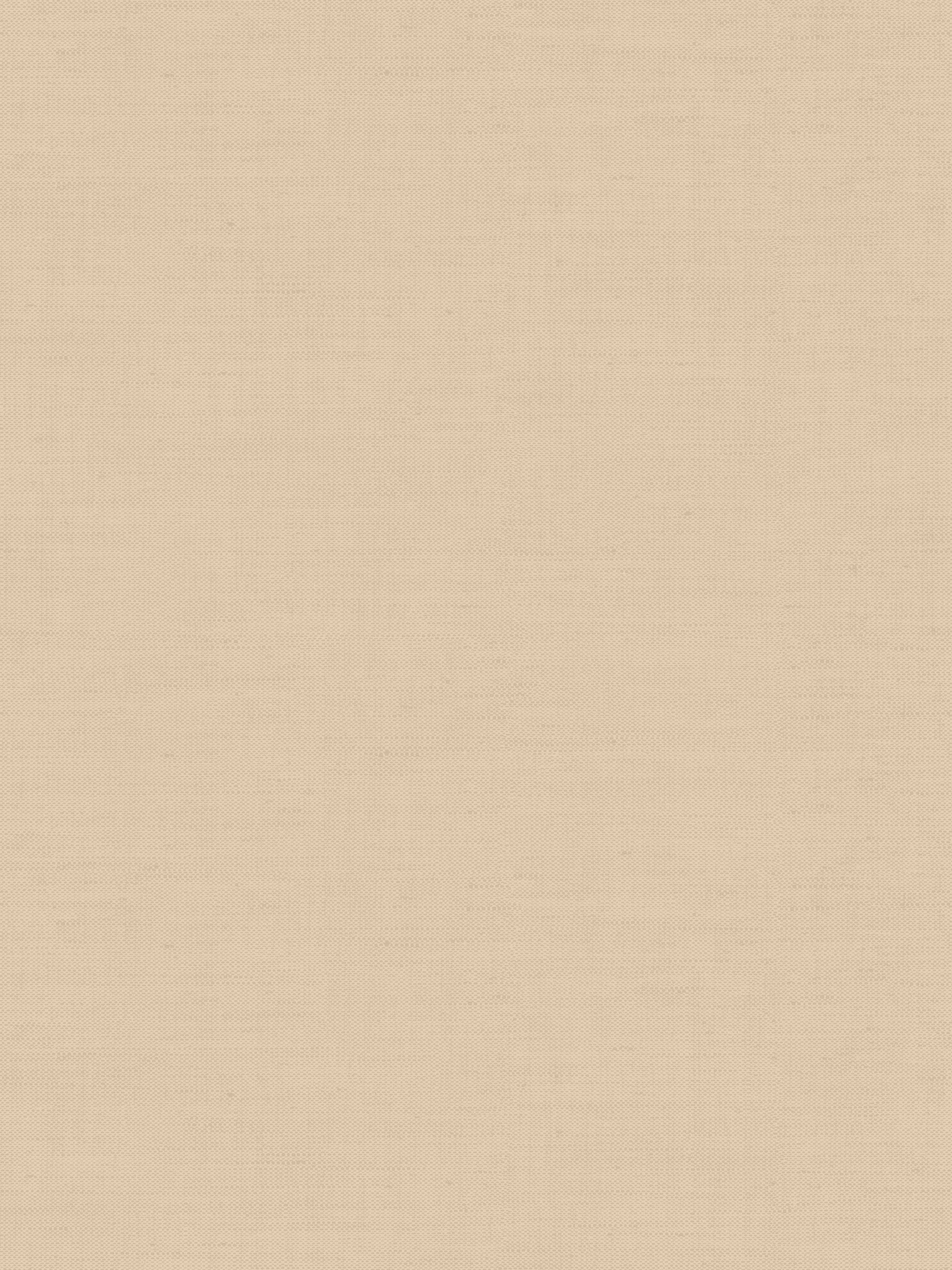 Jannelli & Volpi Unito Sahel Sand Wallpaper WJ200126260