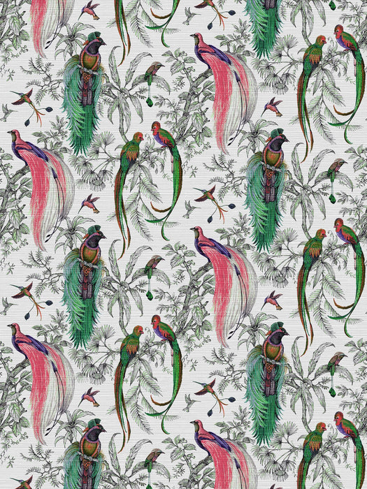 Nicolette Mayer Audubon Exotica Persimmon Wallpaper Sample WNM0001AUDU