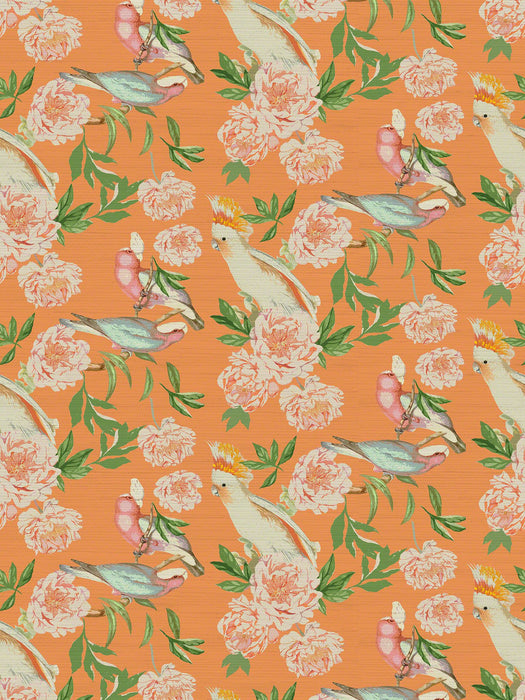 Nicolette Mayer Peony Inspira Bellini Wallpaper Sample WNM0001PEON