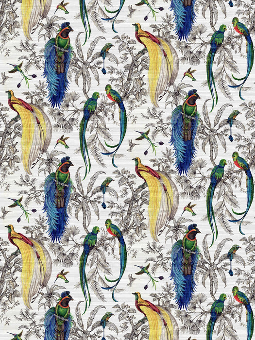 Nicolette Mayer Audubon Exotica Tropical Wallpaper Sample WNM0002AUDU