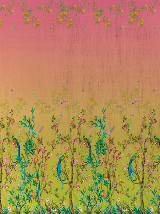 Nicolette Mayer Resplendent Quetzal - Panel Salmon Blush Sunrise Wallpaper Sample WNM0004RESP