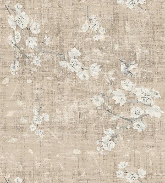 Nicolette Mayer Blossom Fantasia French Gray Wallpaper WNM1050BLOS