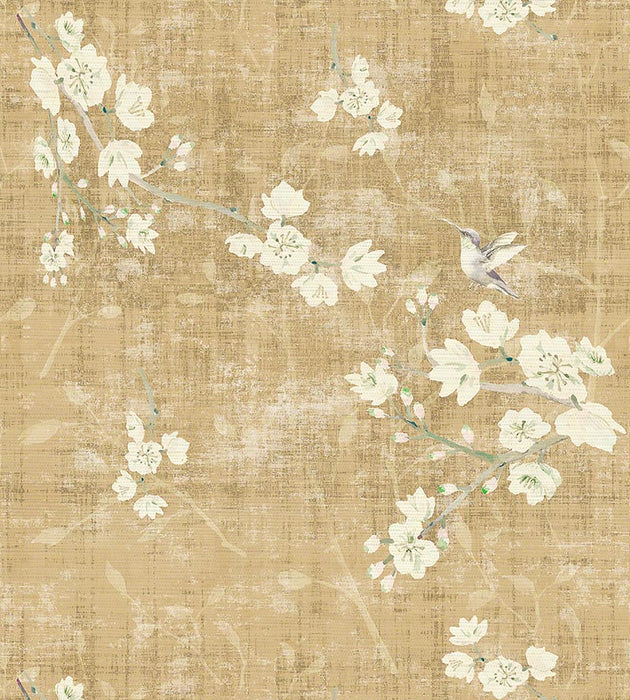 Nicolette Mayer Blossom Fantasia Gold Wallpaper WNM1051BLOS