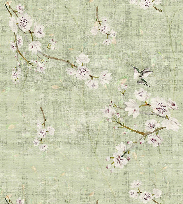 Nicolette Mayer Blossom Fantasia Celadon Wallpaper WNM1055BLOS