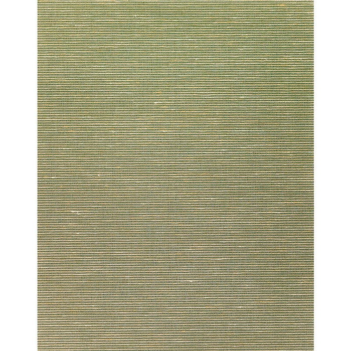 Winfield Thybony Althea Plain Olive Wallpaper Sample WNS5576.WT.0