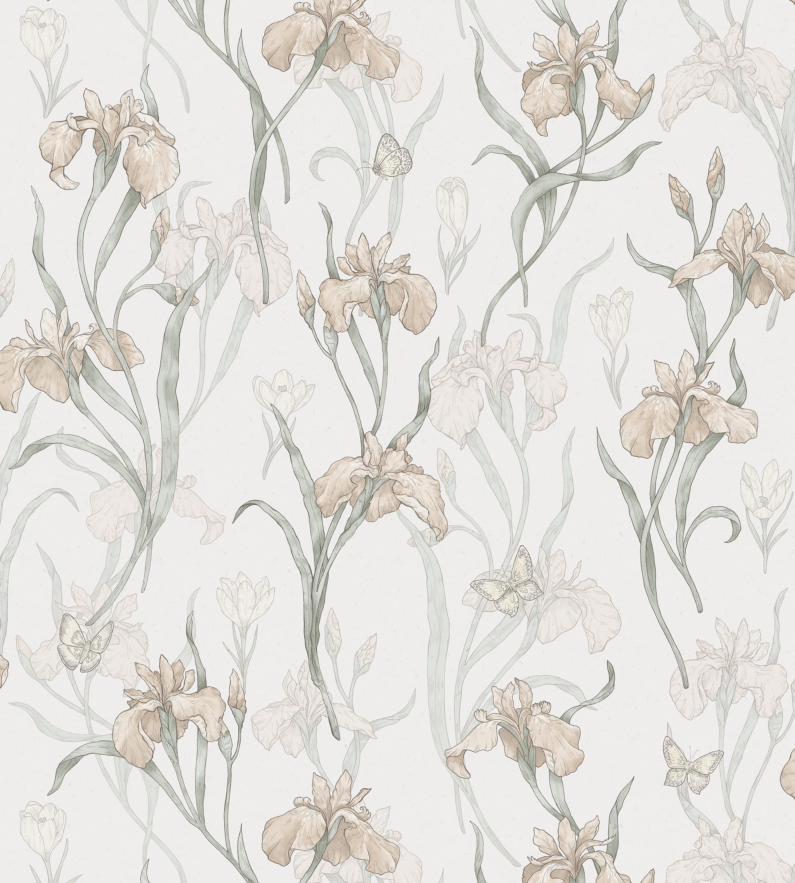 Sandberg Iris Powder Pink Wallcovering Sample WSB003501013