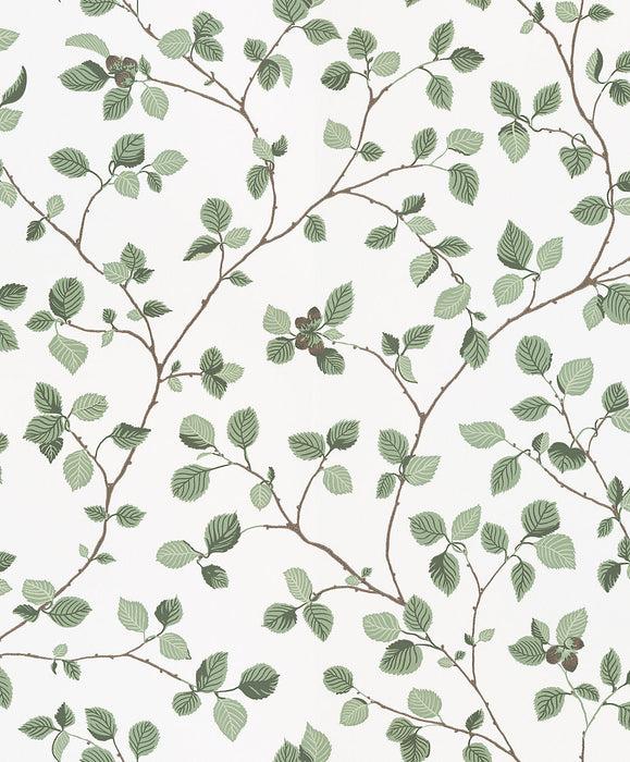 Sandberg Hassel Green Wallpaper Sample WSB00380709