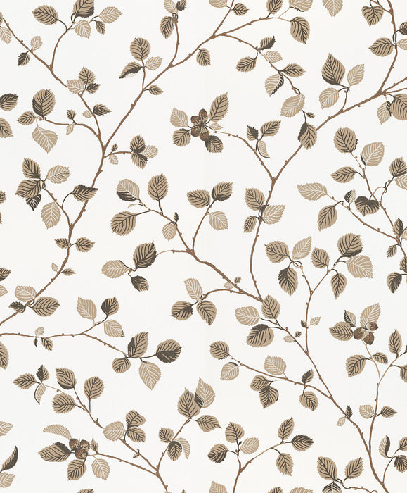 Sandberg Hassel Brown Wallpaper Sample WSB00590709