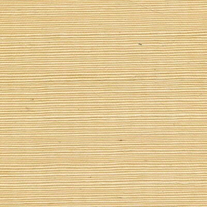 Winfield Thybony Sisal Chamomile Wallpaper Sample WSS4521.WT.0