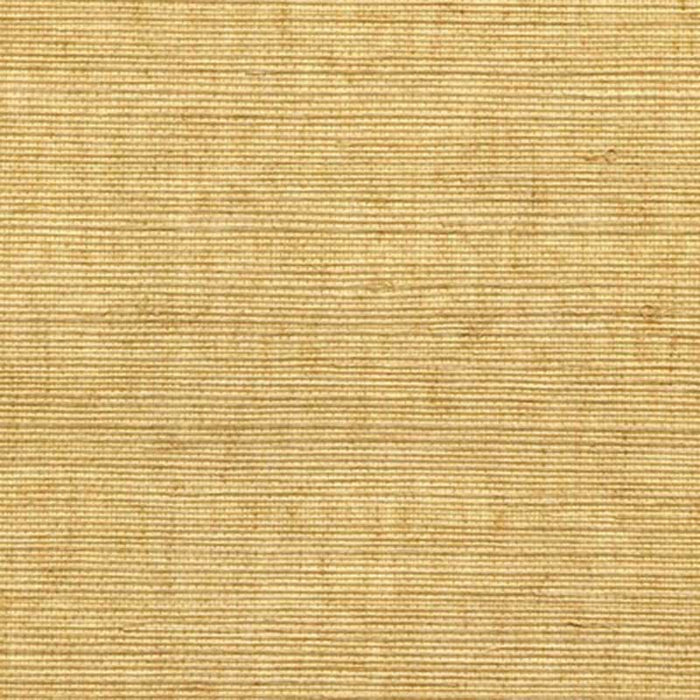 Winfield Thybony Sisal Brush Wallpaper Sample WSS4536.WT.0