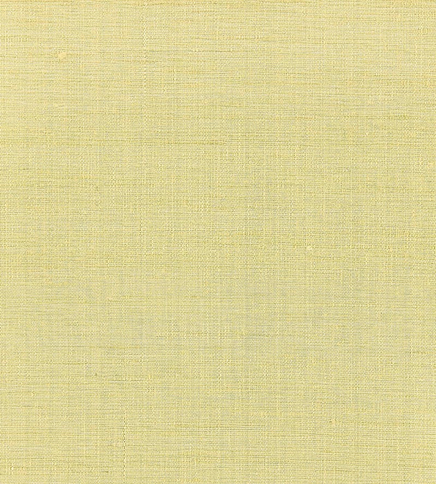 Scalamandre Orissa Silk Citrone Wallpaper Sample WTT661524