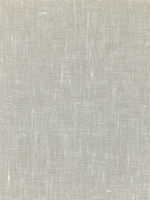 Scalamandre Bandol Solid Oyster Wallpaper Sample WTT661571