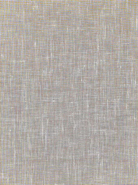 Scalamandre Bandol Solid Wheat Wallpaper Sample WTT661572