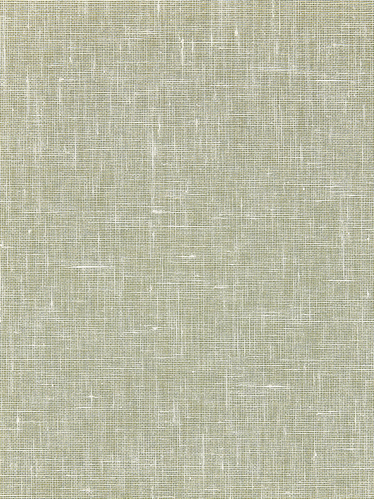 Scalamandre Bandol Solid Oat Wallpaper Sample WTT661575