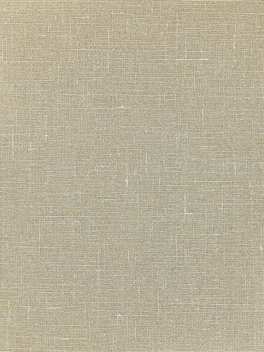 Scalamandre Bandol Metallic Champagne Wallpaper Sample WTT661578