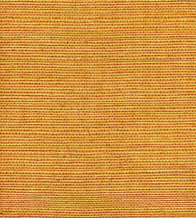 Scalamandre Organic Sisal Tuscan Wallpaper WTWGT3901