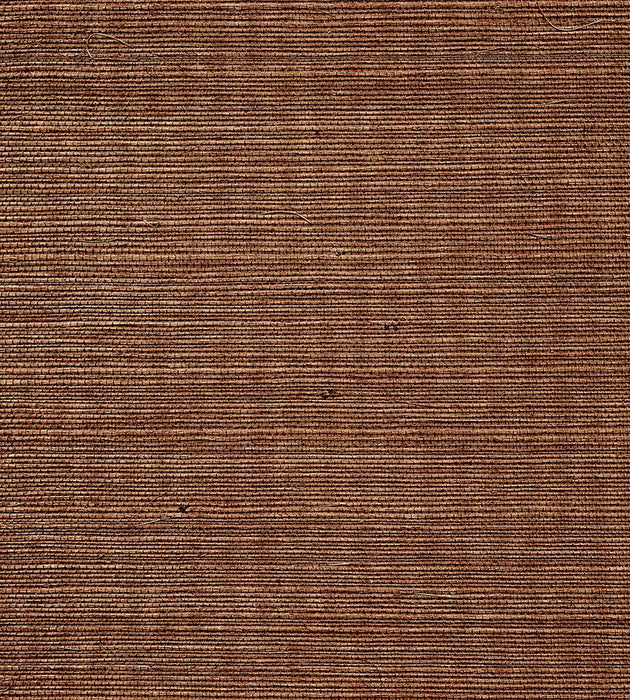 Scalamandre Organic Sisal Brush Wallpaper Sample WTWGT3906