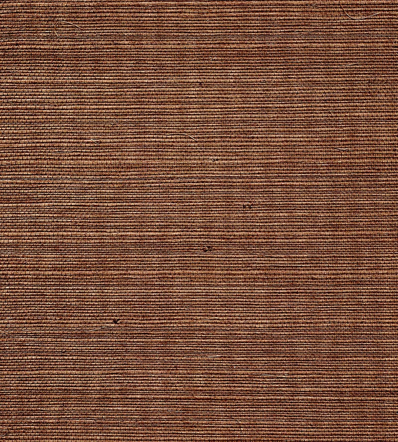 Scalamandre Organic Sisal Brush Wallpaper WTWGT3906