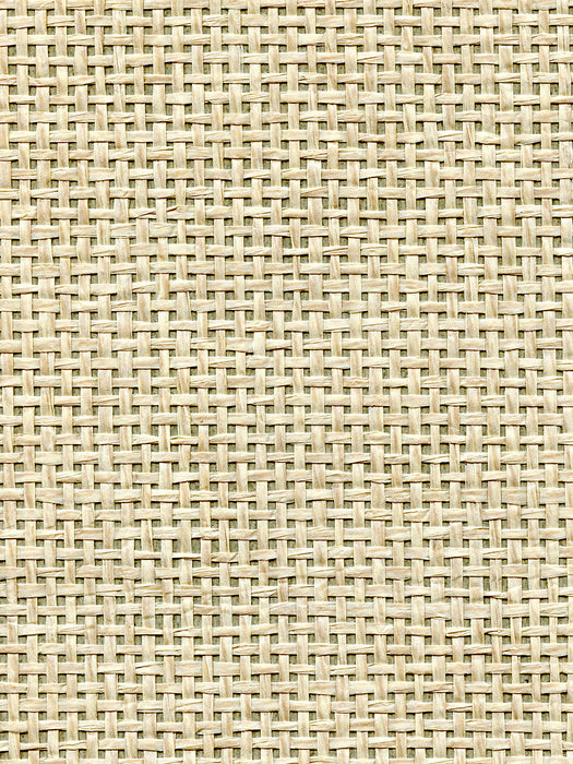 Scalamandre Organic Paperweave Flax Wallpaper Sample WTWGT3922