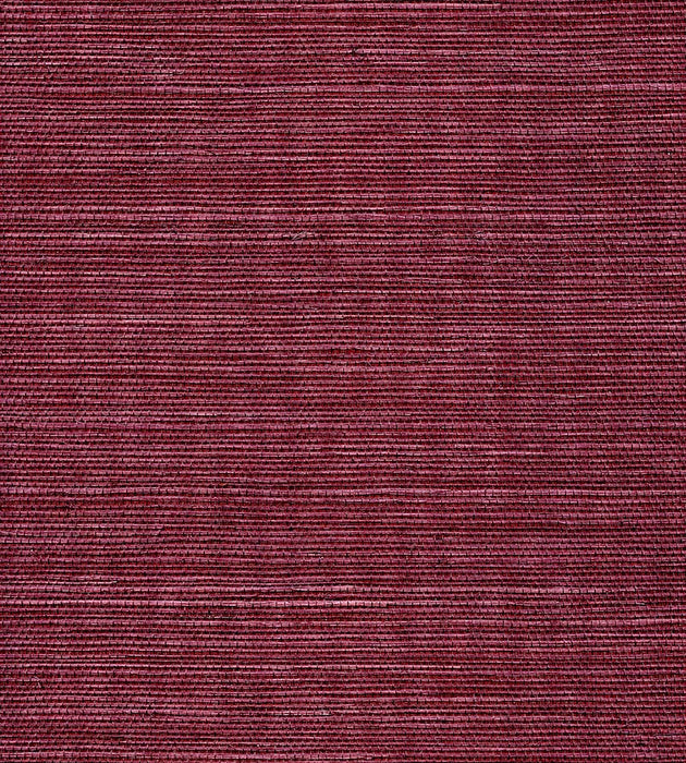 Scalamandre Organic Sisal Luscious Wallpaper Sample WTWGT3930