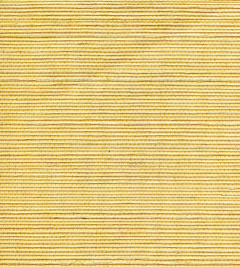 Scalamandre Organic Sisal Cornsilk Wallpaper Sample WTWGT3932