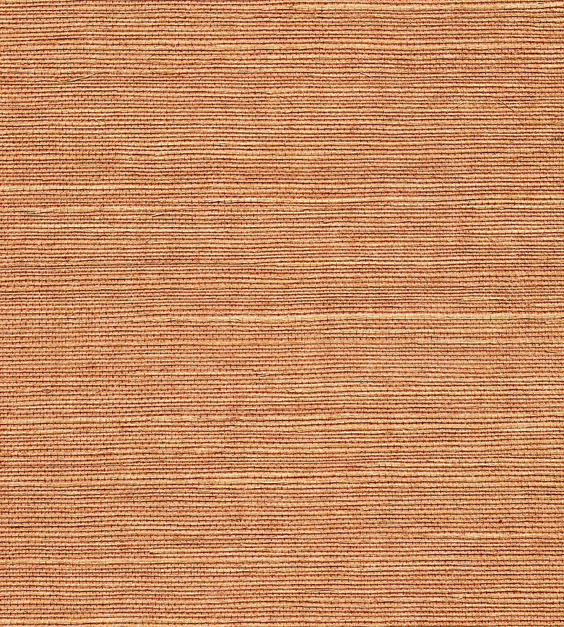 Scalamandre Organic Sisal Java Wallpaper WTWGT3934