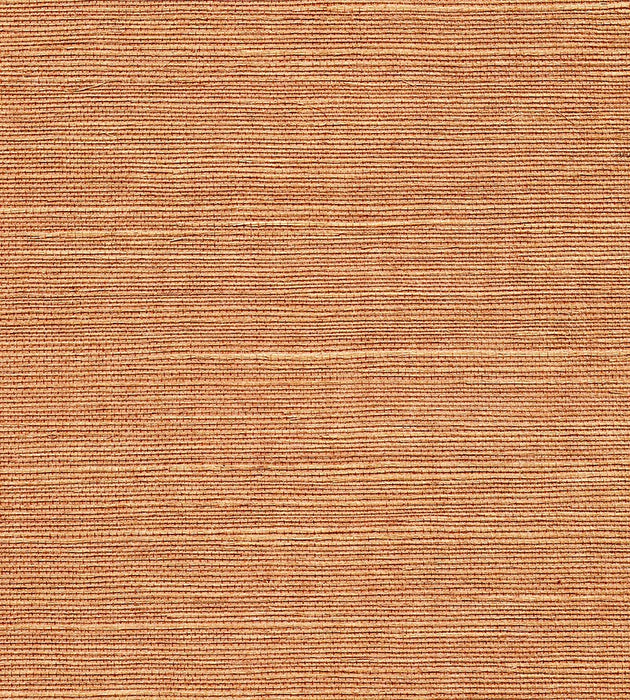 Scalamandre Organic Sisal Java Wallpaper Sample WTWGT3934