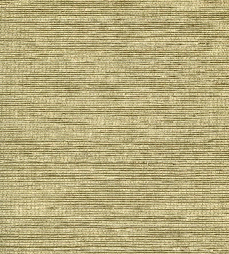 Scalamandre Organic Sisal Springtime Wallpaper WTWGT3951