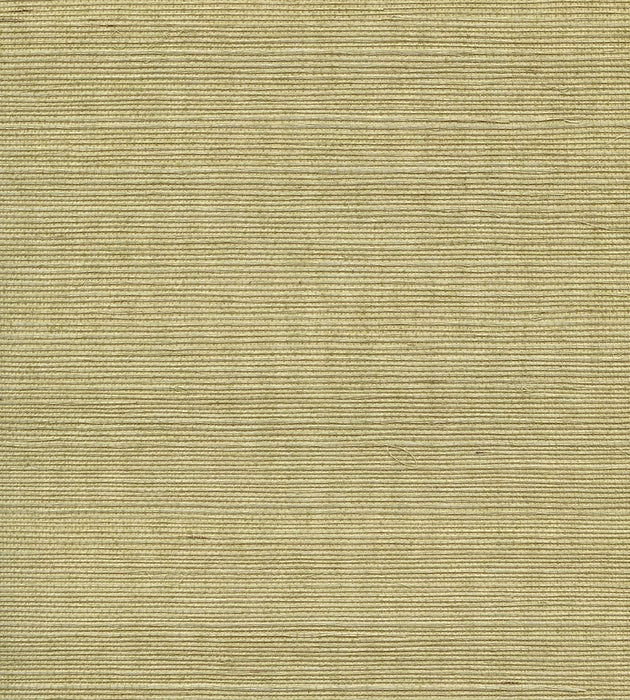 Scalamandre Organic Sisal Springtime Wallpaper Sample WTWGT3951