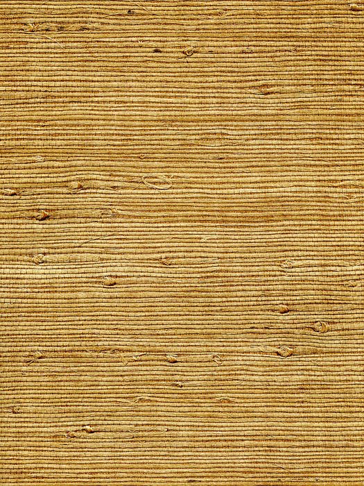 Scalamandre Organic Jute Portobello Wallpaper Sample WTWGT3955