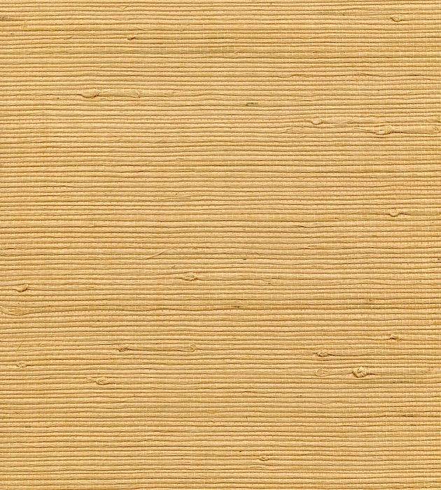 Scalamandre Organic Jute Maize Wallpaper Sample WTWGT3959