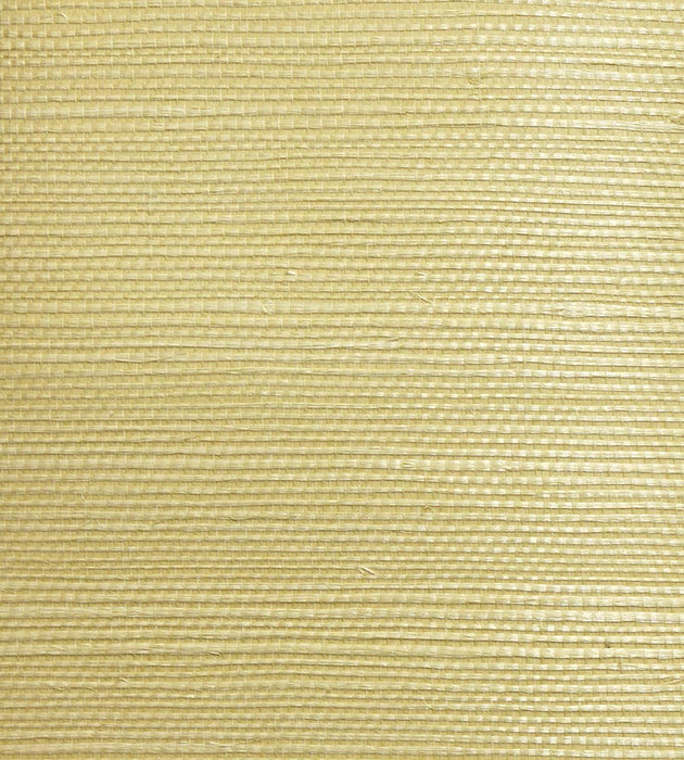 Scalamandre Organic Sisal Leaf Wallpaper Sample WTWGT3964