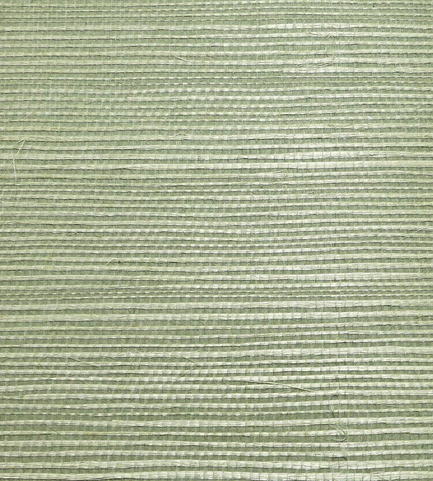 Scalamandre Organic Sisal Sea Glass Wallpaper Sample WTWGT3969