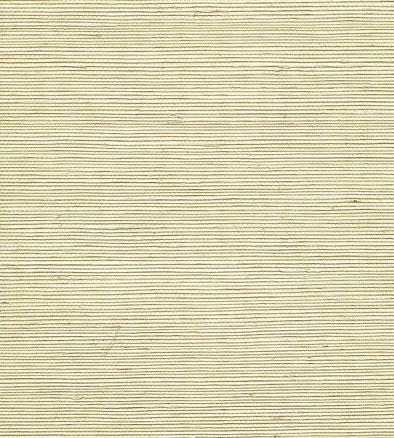 Scalamandre Organic Sisal Sea Spray Wallpaper WTWGT3977